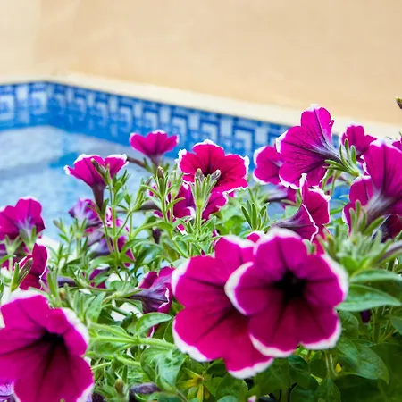 Apartment Aretousa